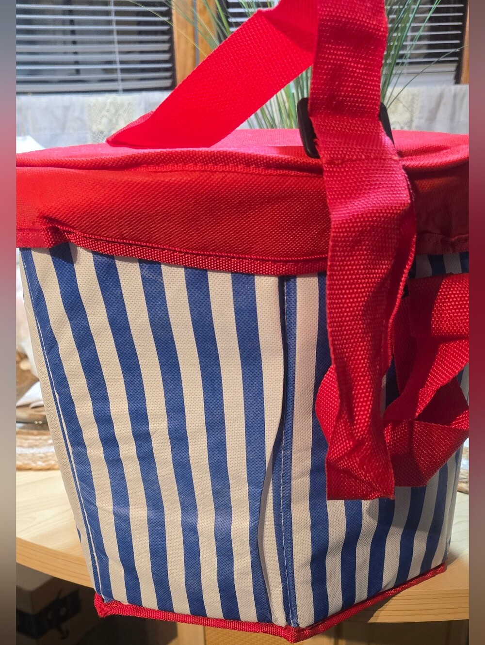 Cooler Beach Bag Red Blue White Striped Insulated 10 qt 9-12 Bottle 12 in